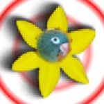 angelaA11.jpg (8603 bytes)