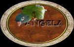 angelaA1.jpg (26253 bytes)