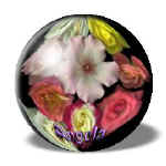 angelaA8.jpg (13436 bytes)