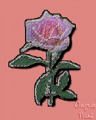 angelaN21.gif (23037 bytes)