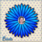 barbH11.jpg (22685 bytes)