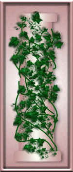 barbS16.jpg (32704 bytes)