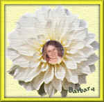 barbS2_11.jpg (54189 bytes)