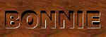 bonnie1.jpg (4077 bytes)