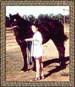 chris20.jpg (58839 bytes)