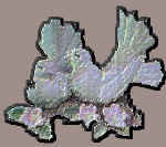 chris21.jpg (15042 bytes)