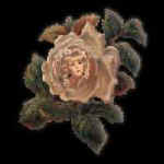 dot11.jpg (4287 bytes)