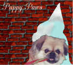 gidget13.jpg (57037 bytes)