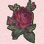 gidget21.jpg (30017 bytes)