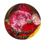 gidget8.jpg (14236 bytes)