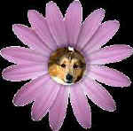 jaccie11.jpg (7077 bytes)