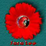 jaclin11.jpg (7206 bytes)