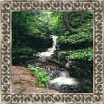 jacque20.jpg (17679 bytes)