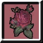 jacque21.jpg (11889 bytes)