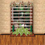 jacque6c.jpg (20427 bytes)