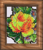 jenni21.gif (32656 bytes)