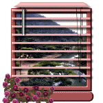 jenni24.gif (80164 bytes)