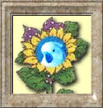 kris11.jpg (69635 bytes)