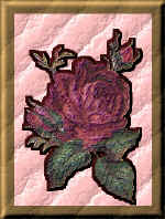 kris21.jpg (87940 bytes)