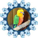 kris2_23.jpg (62114 bytes)