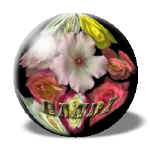 kris8.jpg (34575 bytes)