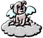 15cdawn.jpg (14624 bytes)