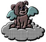 15ddawn.jpg (11326 bytes)