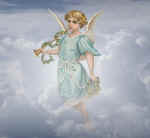 19megs.jpg (13585 bytes)