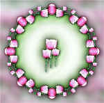 23cindy.jpg (26502 bytes)