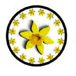 23megs.jpg (21746 bytes)