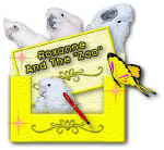 27crox.jpg (24746 bytes)