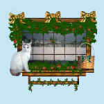 28willi.jpg (19003 bytes)