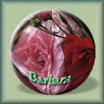 8barbS.jpg (26733 bytes)