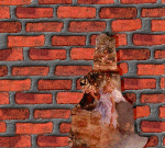 alicia13.gif (164486 bytes)