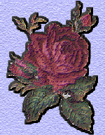 alicia21.gif (43156 bytes)