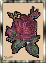 rene21.gif (41679 bytes)