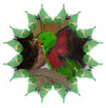 sheri23.jpg (25623 bytes)