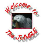 sheri2.jpg (6516 bytes)