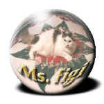 sheryl8.jpg (12719 bytes)