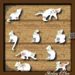 shirley9.jpg (19856 bytes)