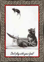 shirleye20.jpg (15696 bytes)