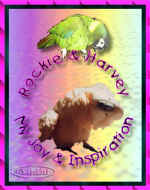 sueS2.jpg (28440 bytes)