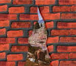 wendyMacD13.jpg (118369 bytes)