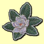 wendymadison21.jpg (13893 bytes)