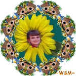 wendymadison6b.jpg (25754 bytes)