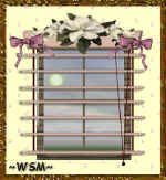 wendymadison6c.jpg (30752 bytes)